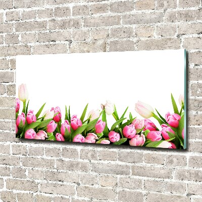 Acrylglas-Druck Rosa Tulpen