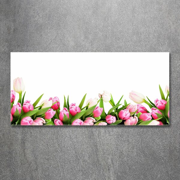 Acrylglas-Druck Rosa Tulpen