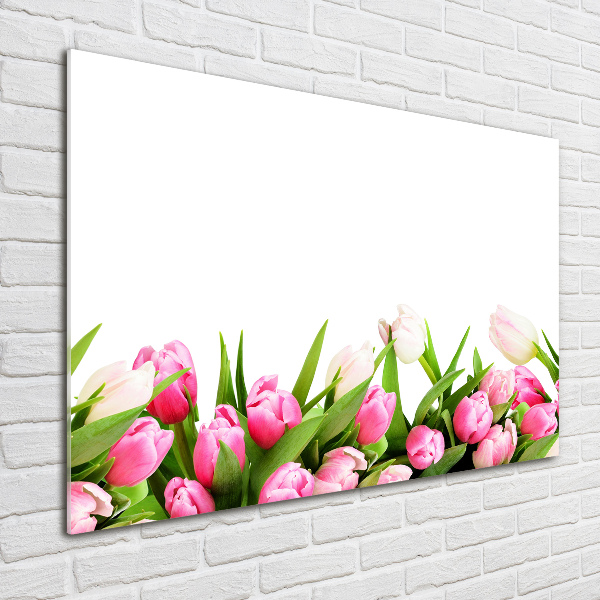 Acrylglas-Druck Rosa Tulpen