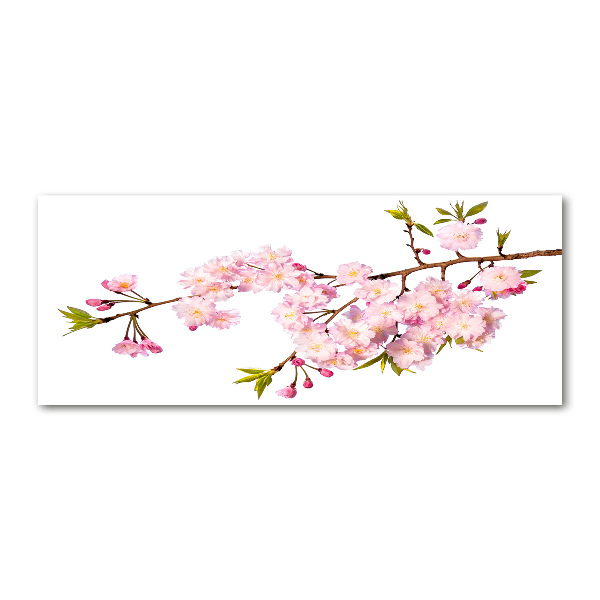 Foto auf Acryl Dornen