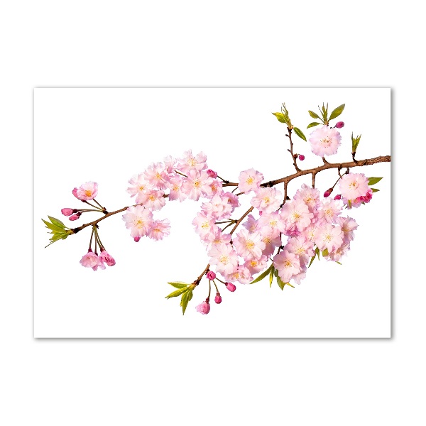 Foto auf Acryl Dornen