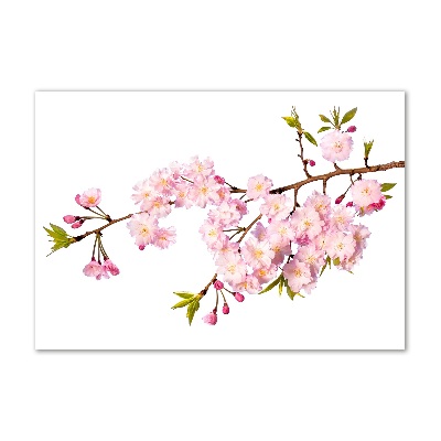 Foto auf Acryl Dornen