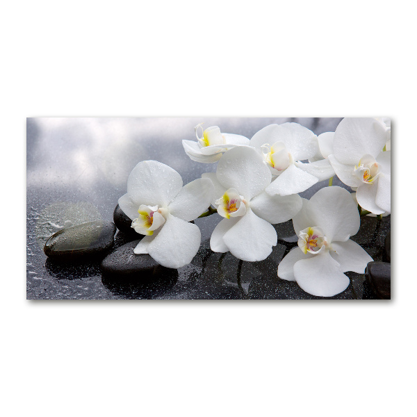 Acrylbild Fotodruck Orchidee