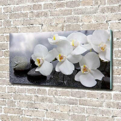 Acrylbild Fotodruck Orchidee