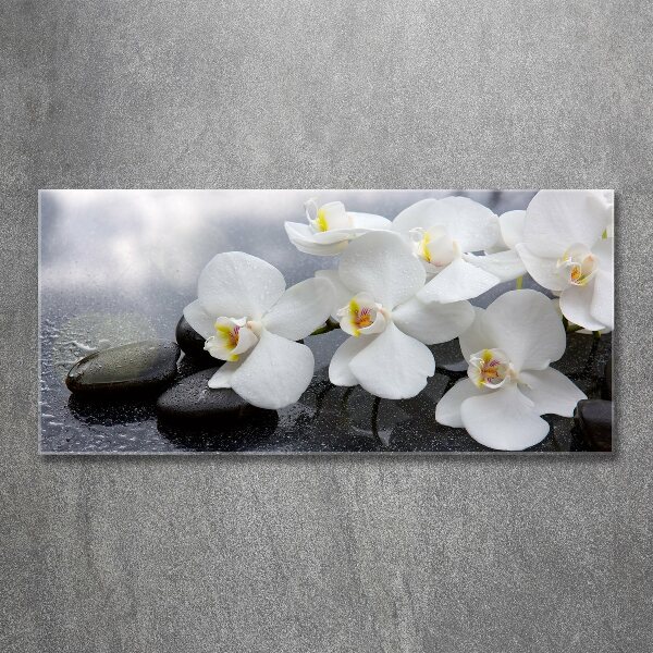 Acrylbild Fotodruck Orchidee