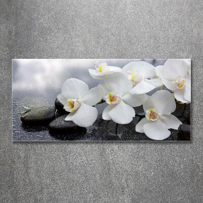 Acrylbild Fotodruck Orchidee