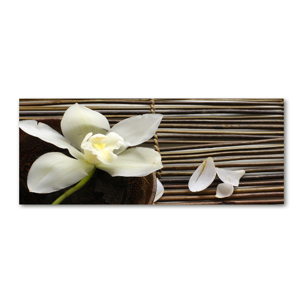 Foto auf Acryl Orchidee