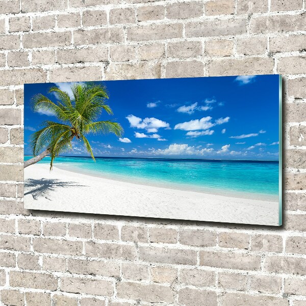 Foto auf Acryl Tropischer Strand