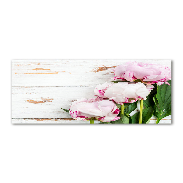 Bild auf Acrylglas Pfingstrosen