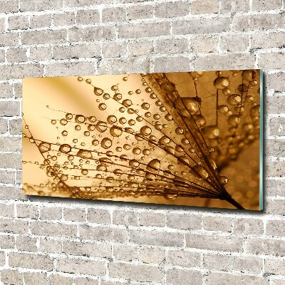 Acrylbild Fotodruck Löwenzahnsamen