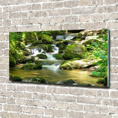Acrylbild Fotodruck Wasserfall