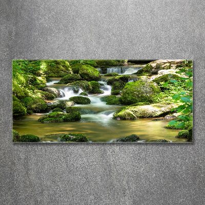 Acrylbild Fotodruck Wasserfall