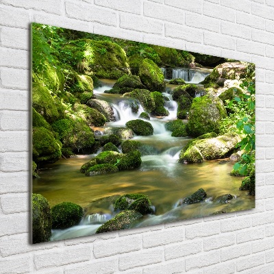 Acrylbild Fotodruck Wasserfall