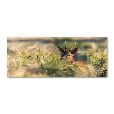 Bild auf Acrylglas Hirsche im Feld
