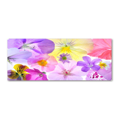 Foto auf Acryl Stiefmütterchen