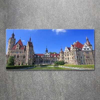 Bild auf Acrylglas Schloss Moszna, Polen