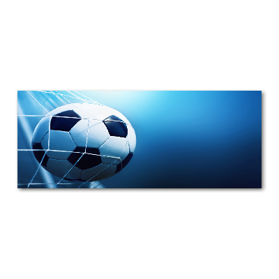 Bild auf Acrylglas Der Ball ist im Tor