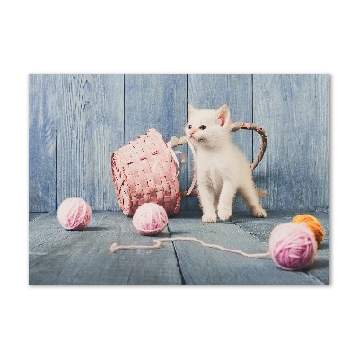 Bild auf Acrylglas Weiße Katze und Stränge