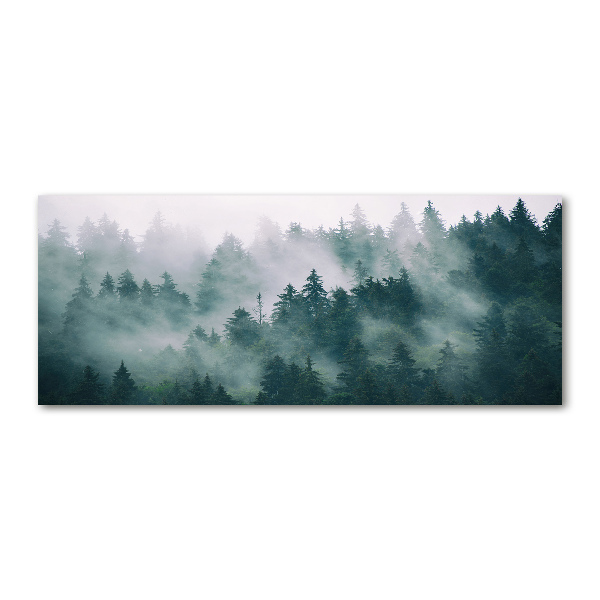 Foto auf Acryl Nebel über dem Wald