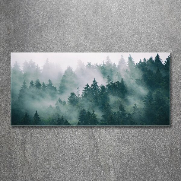 Foto auf Acryl Nebel über dem Wald