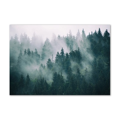 Foto auf Acryl Nebel über dem Wald