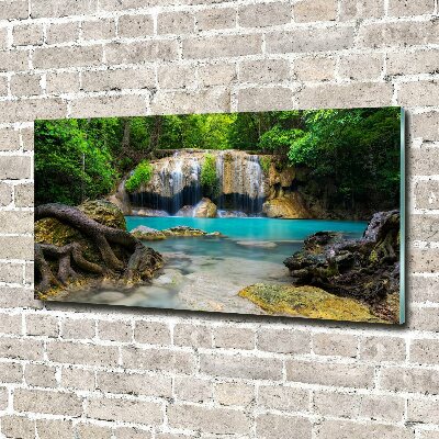 Bild auf Acrylglas Wasserfall im Wald