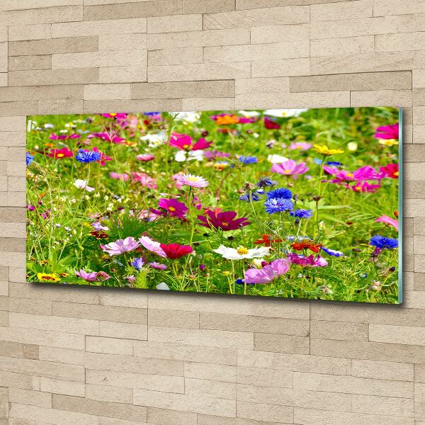 Bild auf Acrylglas Wildblumen