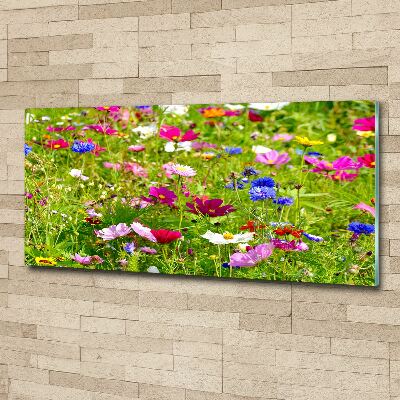 Bild auf Acrylglas Wildblumen