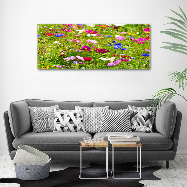 Bild auf Acrylglas Wildblumen
