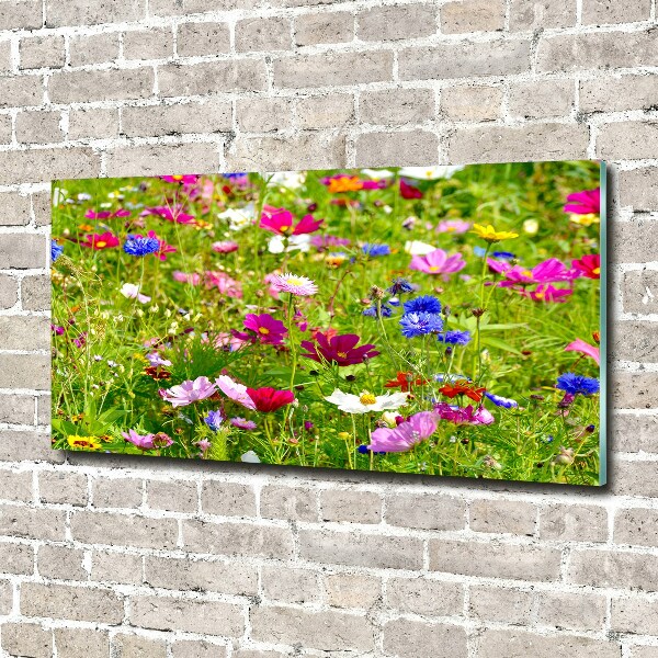 Bild auf Acrylglas Wildblumen