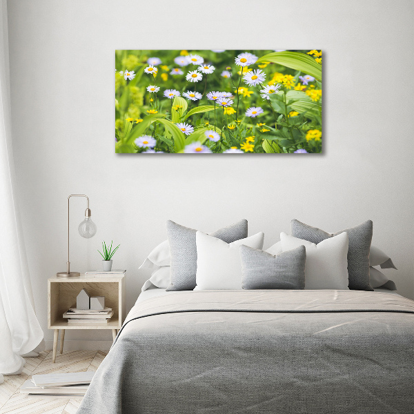 Acrylbild Fotodruck Gänseblümchen