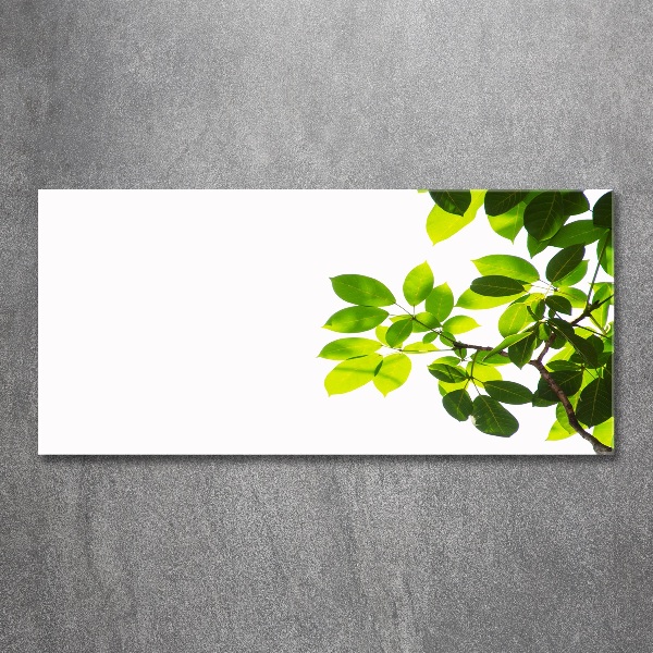 Acrylglas-Druck Blätter