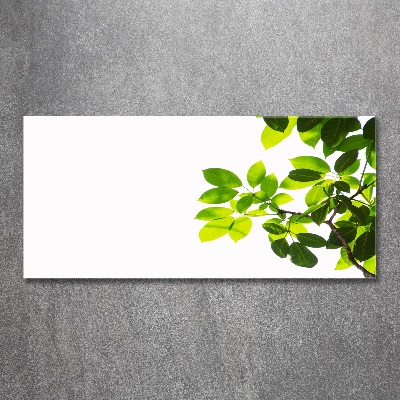 Acrylglas-Druck Blätter