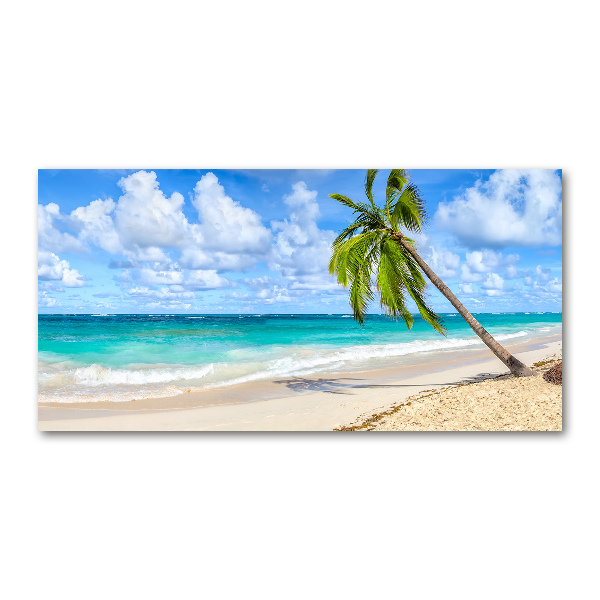 Acrylbild Fotodruck Tropischer Strand