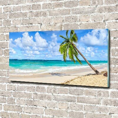 Acrylbild Fotodruck Tropischer Strand