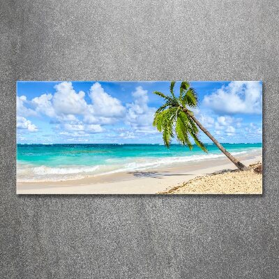 Acrylbild Fotodruck Tropischer Strand