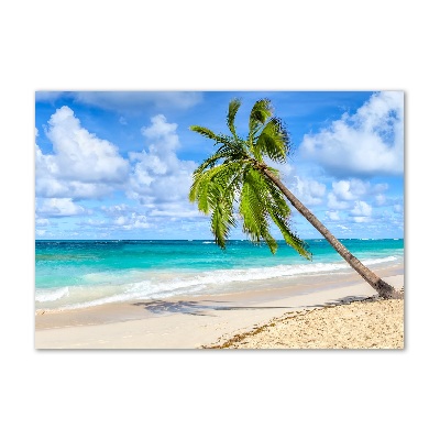 Acrylbild Fotodruck Tropischer Strand