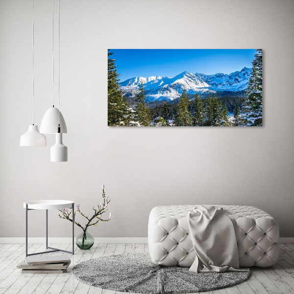 Acrylbild Fotodruck Panorama der Tatra-Berge