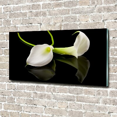 Foto auf Acryl Calla
