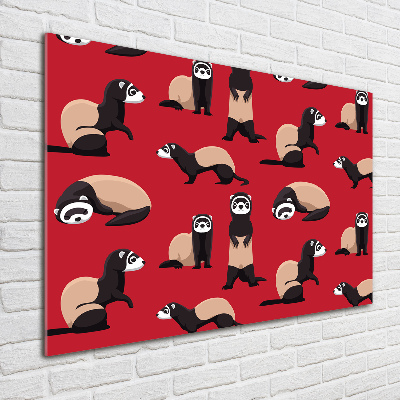 Acrylbild Fotodruck Iltis