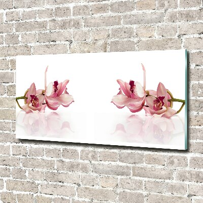 Bild auf Acrylglas Orchidee
