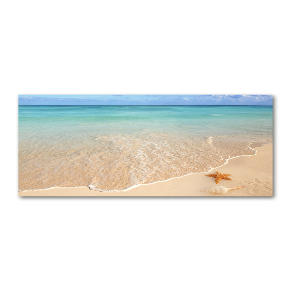 Acrylglas-Druck Seesterne am Strand