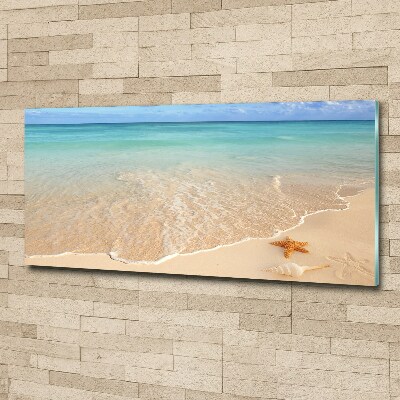 Acrylglas-Druck Seesterne am Strand
