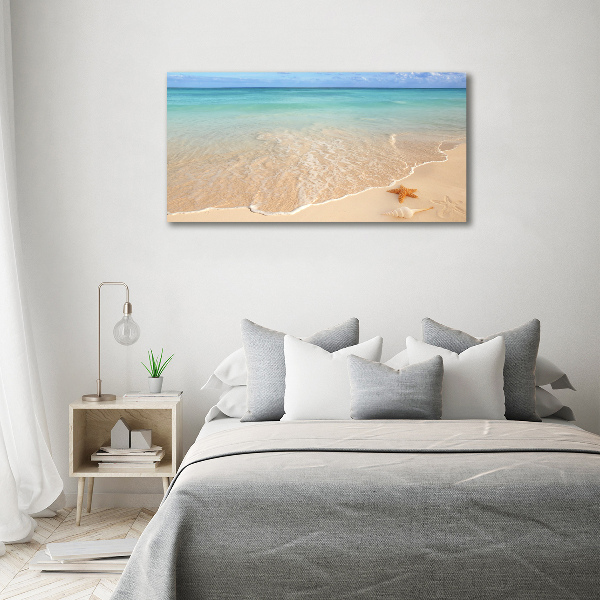 Acrylglas-Druck Seesterne am Strand