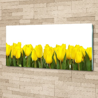 Acrylbild Fotodruck Gelbe Tulpen