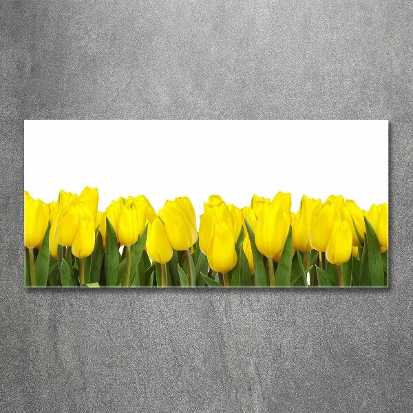 Acrylbild Fotodruck Gelbe Tulpen