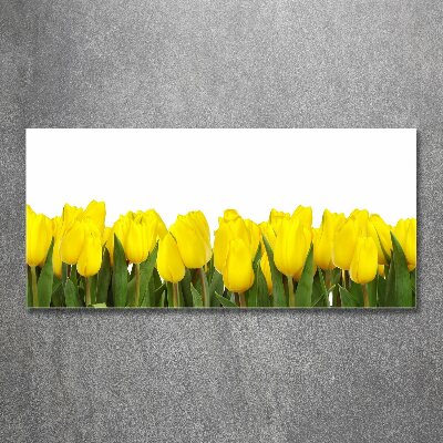 Acrylbild Fotodruck Gelbe Tulpen