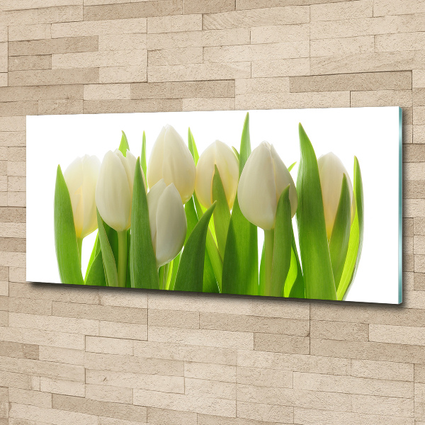 Foto auf Acryl Tulpen