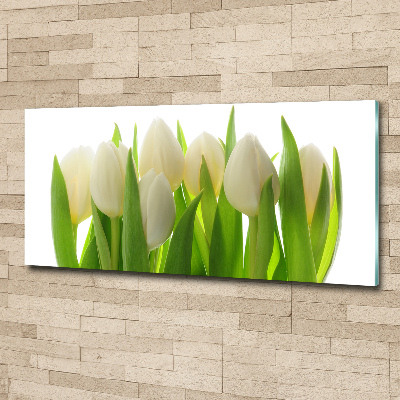 Foto auf Acryl Tulpen