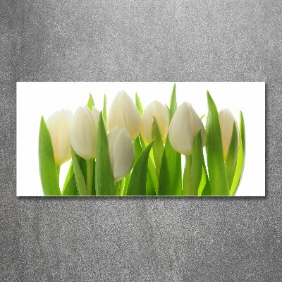 Foto auf Acryl Tulpen